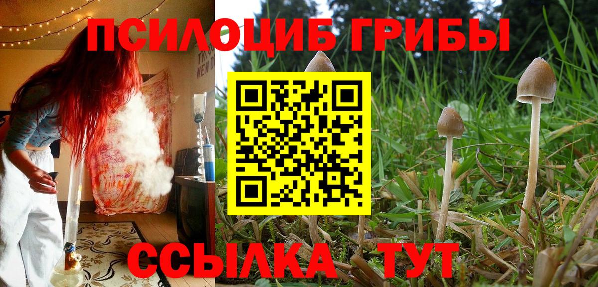 Псилоцибиновые грибы Magic Shrooms Отрадное